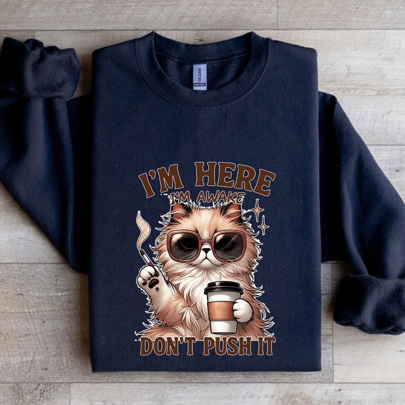 Im Here Im Awake Dont Push It Sweatshirt 2