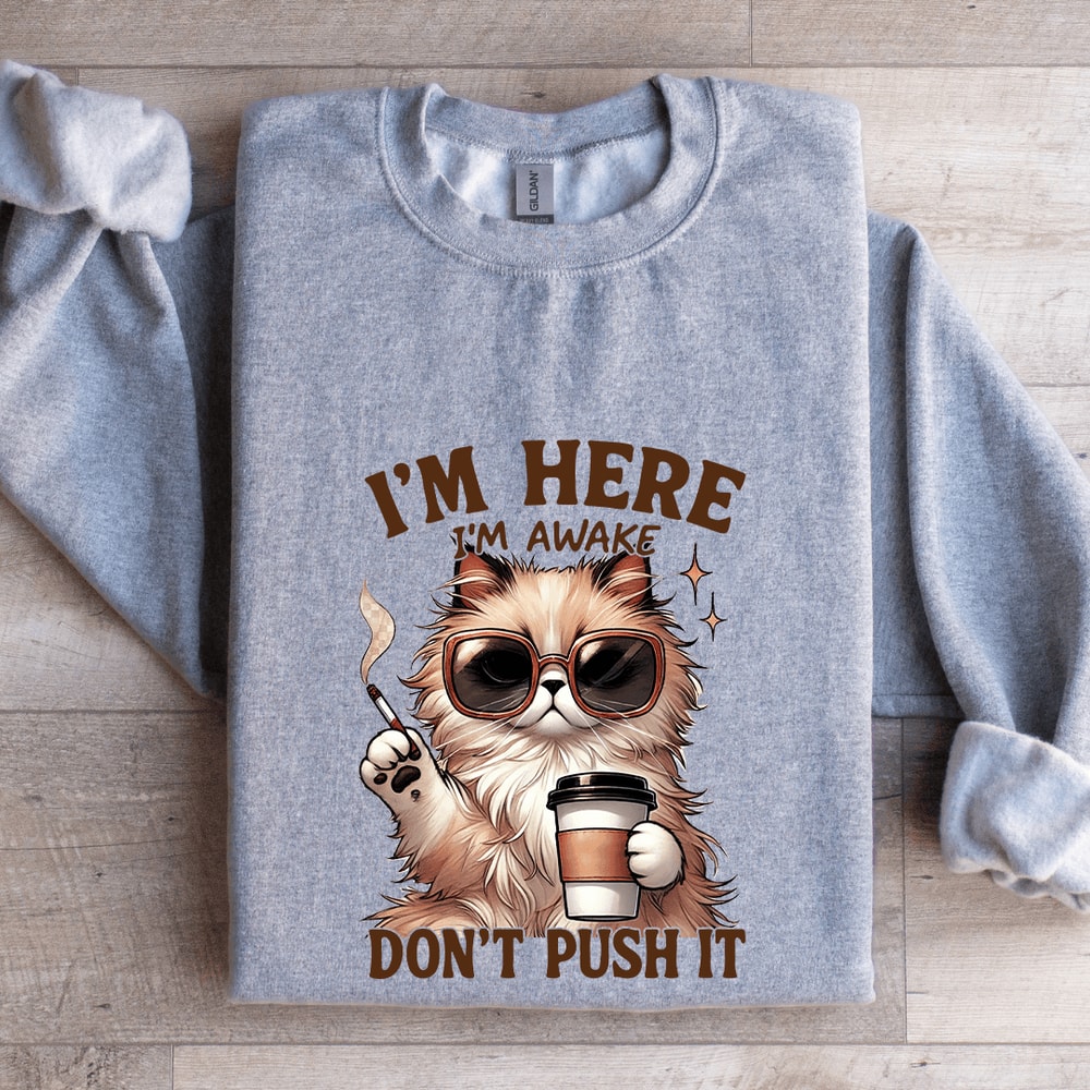 Im Here Im Awake Dont Push It Sweatshirt 0