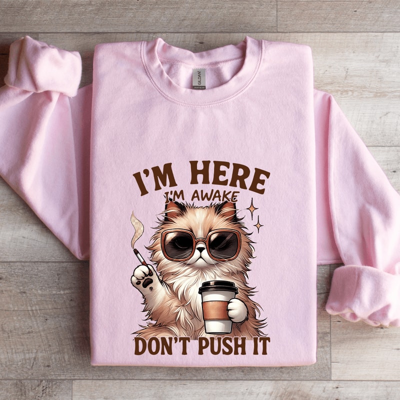 Im Here Im Awake Dont Push It Sweatshirt 3