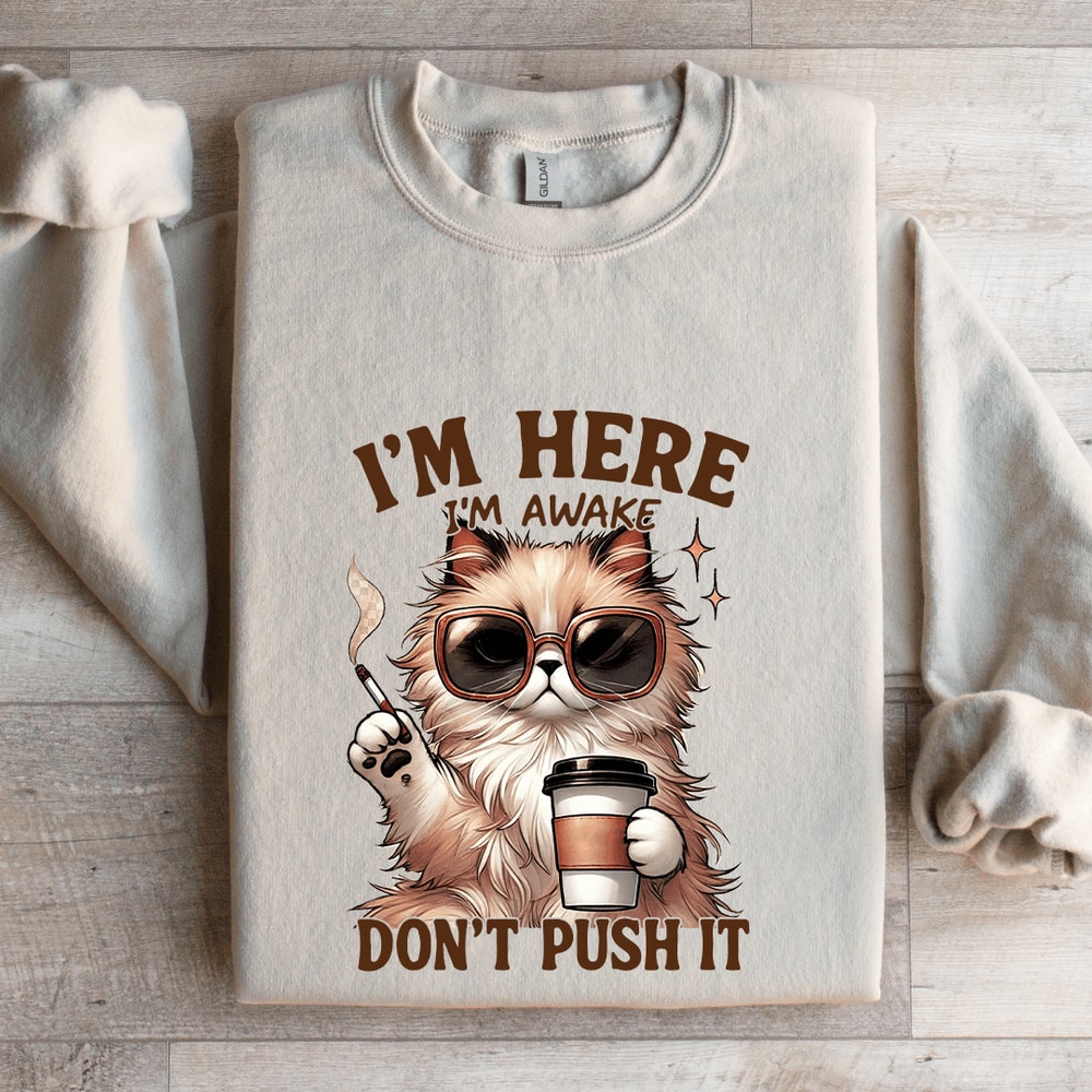 Im Here Im Awake Dont Push It Sweatshirt 4