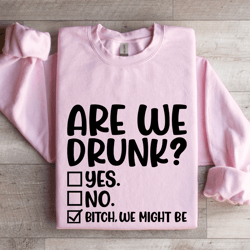 are we drunk sweatshirt