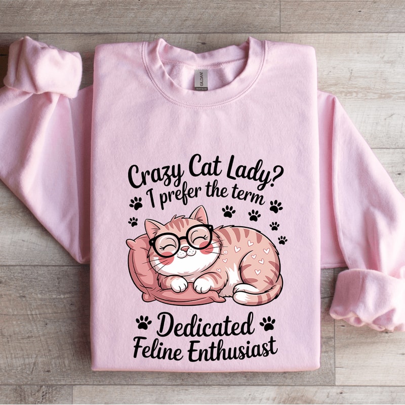 Crazy Cat Lady I Prefer The Term Dadicated Sweatshirt 3