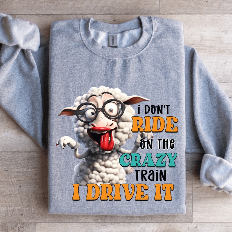 I Dont Ride On The Crazy Train Sweatshirt 3
