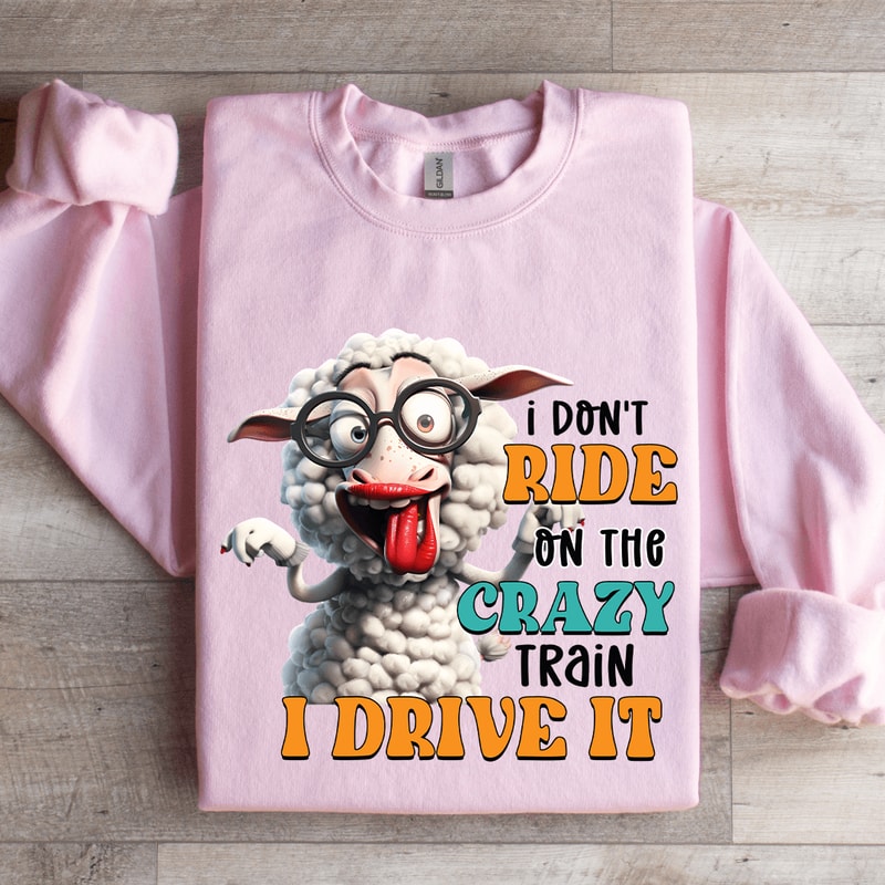 I Dont Ride On The Crazy Train Sweatshirt 0