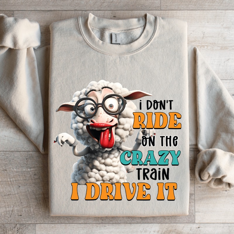 I Dont Ride On The Crazy Train Sweatshirt 4