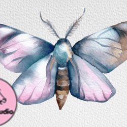 watercolor clipart. moth boho butterfly design 101