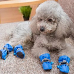 4pcs/set Waterproof Pet Dog Shoes Anti-slip Rain Boots Footwear for Small Cats Dogs Puppy Dog Pet Booties Pet Paw Access