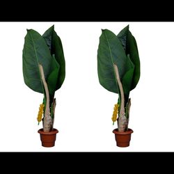 simonart and printing artificial tree