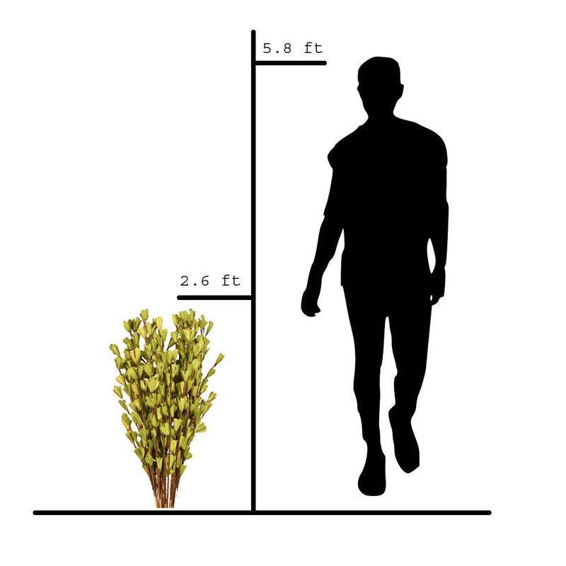Artificial Dry Flowers For Decoration 2