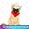 Cowboy pug Western dog in a cowboy hat PNG Download.jpg