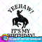 Mens Mens Yeehaw It s My Birthday Cowboy Western Rodeo Party PNG Download.jpg