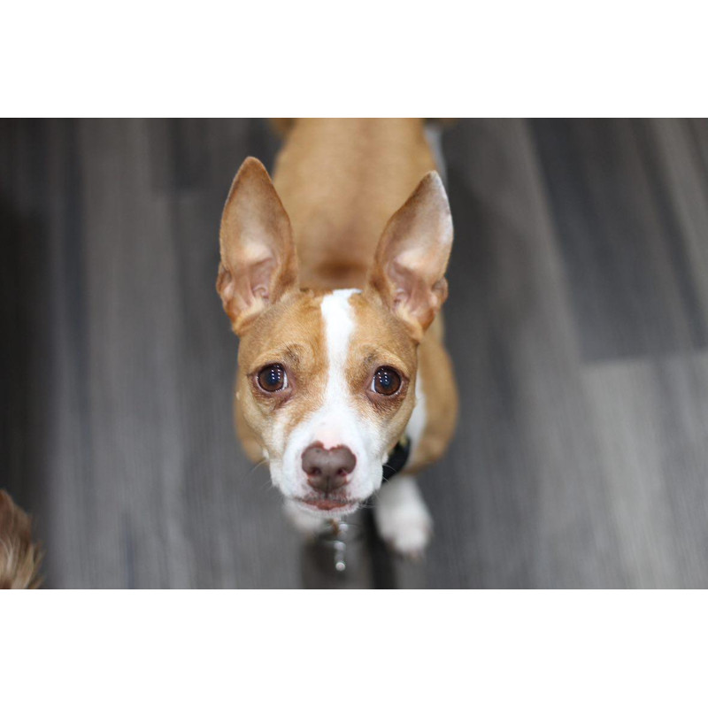 IMG20240409215025342jpg