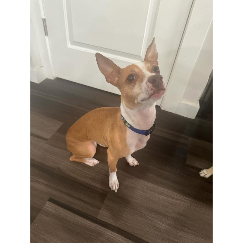 IMG20240410081213172jpg