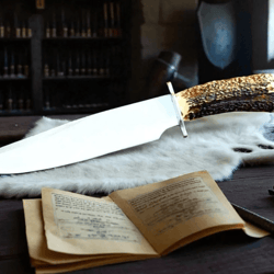 d2 steel bowie knife | stag horn handle & brass guard | leather sheath | hunter knife | bf gift | father gift