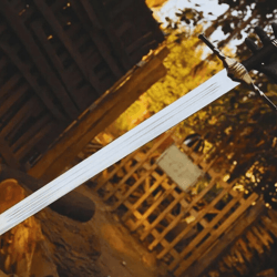 witcher-inspired display sword | feline & griffin fantasy decorative collectible