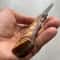 Blacksmith Forged Damascus Camping Knife With Full Tang Chestnut Wood Grip 2