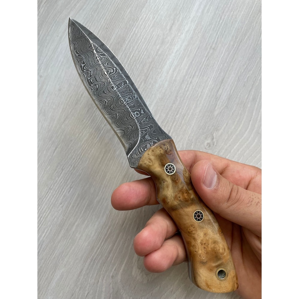 Handmade Damascus Bushcraft Knife Silverberry Wood Handle Outdoor Hunting Blade 2