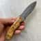 Handmade Damascus Bushcraft Knife Silverberry Wood Handle Outdoor Hunting Blade 9