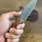 Damascus EDC Knife 150 Layers Full Tang Camping Knife Gloss Finished Chestnut Handle 0