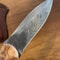 Damascus EDC Knife 150 Layers Full Tang Camping Knife Gloss Finished Chestnut Handle 2