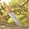 Premium Damascus Chef Knife Wood Handle Kitchen Cutlery Gift For Home Cooks 0