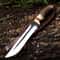 Premium Forged Steel Fixed Blade Hunting Knife Antler Grip Collector Gift 0