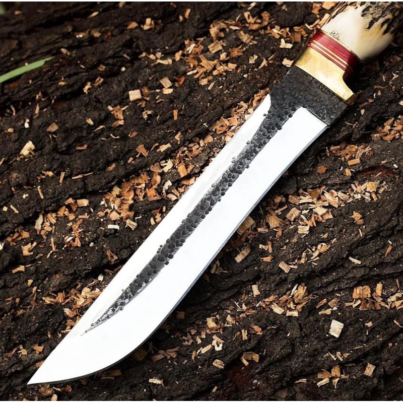 Premium Forged Steel Fixed Blade Hunting Knife Antler Grip Collector Gift 2