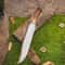 Premium Bowie Knife D2 Steel Blade Stag Antler Handle Camping Hunting Tool 2