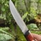 Premium Fixed Blade Hunting Knife Rosewood Handle Leather Sheath Collector Gift 6