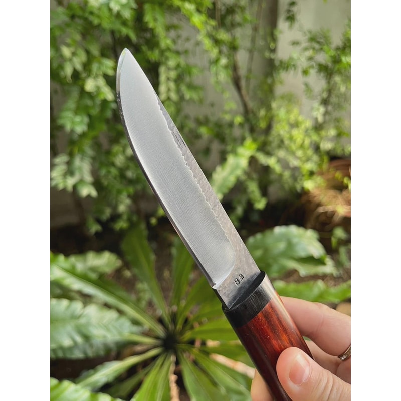 Premium Fixed Blade Hunting Knife Rosewood Handle Leather Sheath Collector Gift 6