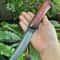 Premium Fixed Blade Hunting Knife Rosewood Handle Leather Sheath Collector Gift 8