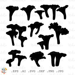 chanterelle mushrooms svg, chanterelle mushroom silhouette,  mushrooms cricut,  stencil templates dxf, clipart png