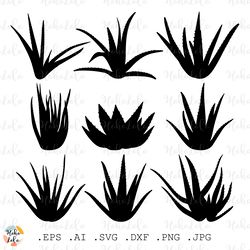 aloe vera svg, aloe vera silhouette, aloe vera cricut, aloe vera stencil templates dxf, aloe vera clipart png