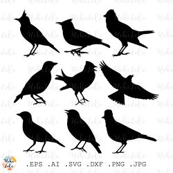 Lark Bird Svg, Lark Bird Silhouette, Lark Bird Cricut, Lark Bird Stencil Templates Dxf, Lark Bird Clipart Png