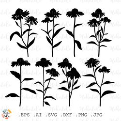 Echinacea Svg, Echinacea Silhouette, Echinacea Cricut, Echinacea Stencil Templates Dxf, Echinacea Clipart Png