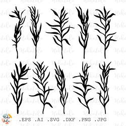tarragon svg, tarragon silhouette, tarragon cricut, tarragon stencil templates, tarragon clipart png