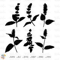 patchoili svg, patchoili silhouette, patchoili cricut, patchoili stencil templates, patchoili clipart png