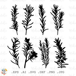 rosemary svg, rosemary silhouette, rosemary cricut, rosemary stencil templates, rosemary clipart png