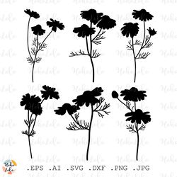 chamomile svg, chamomile silhouette, chamomile cricut, chamomile stencil templates, chamomile clipart png