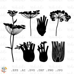 fennel svg, fennel silhouette, fennel cricut, fennel stencil templates, fennel clipart png