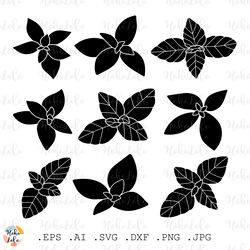 basil svg, basil silhouette, basil cricut, basil stencil templates, basil clipart png, basil leaves