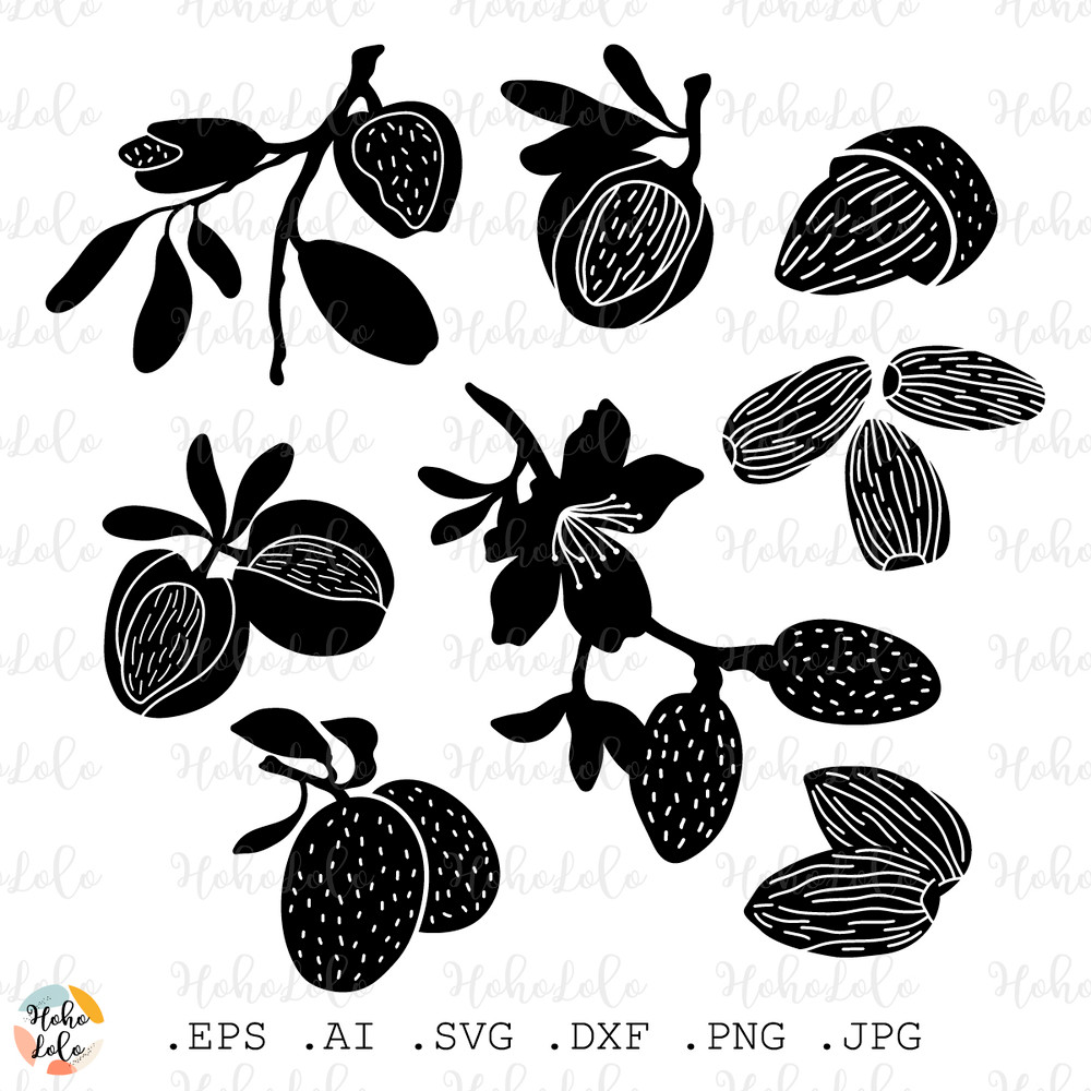 Almond Svg Almond Silhouette Almond Cricut Almond Stencil Templates Almond Clipart Png 0