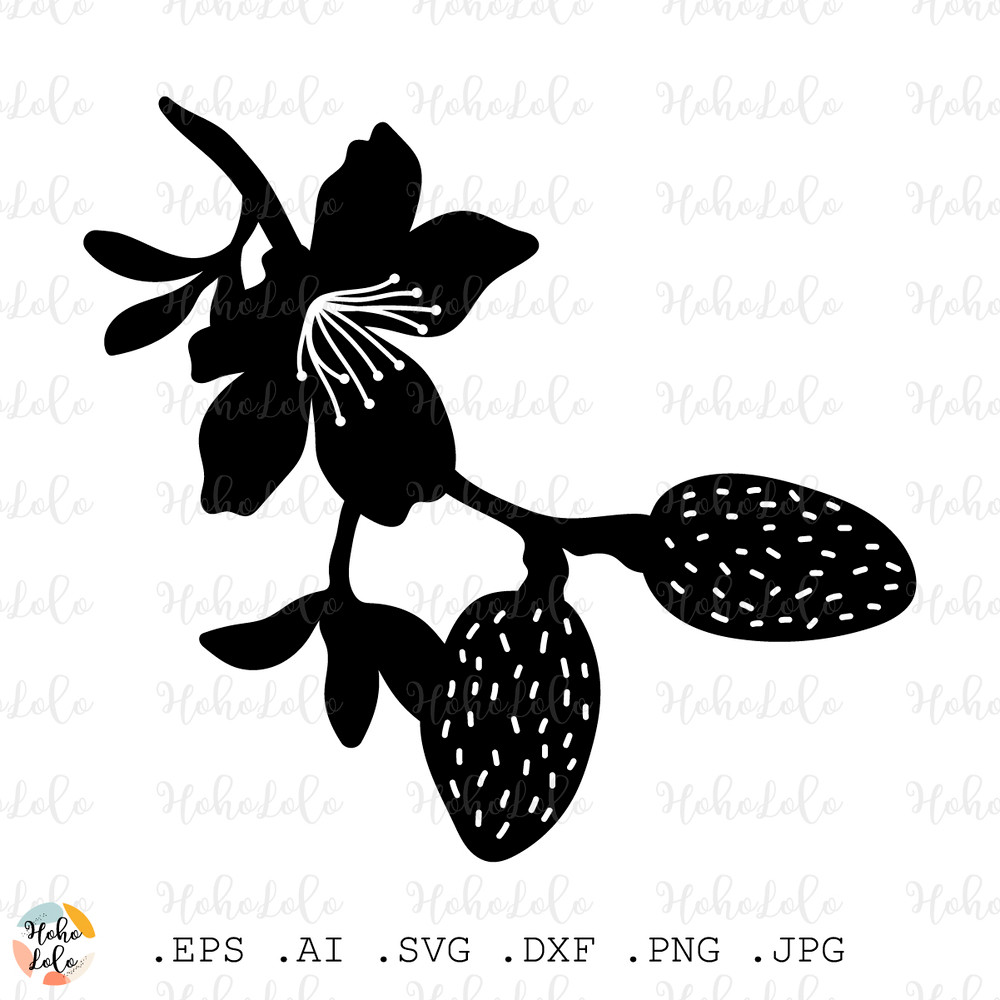 Almond Svg Almond Silhouette Almond Cricut Almond Stencil Templates Almond Clipart Png 1