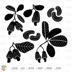 cashew svg, cashew cricut, cashew silhouette, cashew stencil template dxf, cashew clipart png