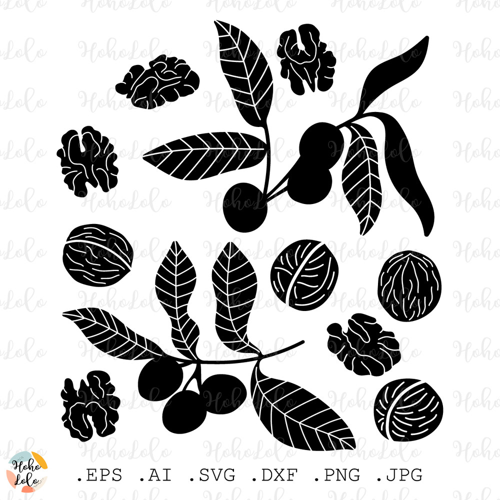 Walnut Svg Walnut Cricut Walnut Silhouette Walnut Stencil Template Dxf Walnut Clipart Png 0