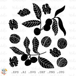 walnut svg, walnut cricut, walnut silhouette, walnut stencil template dxf, walnut clipart png