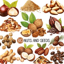 Nuts and Seeds PNG | Cashew Clipart Cacao bean Almond Walnut Pecan Peanut Hazelnut Acorn Chestnut Hemp seed Nutmeg Pista