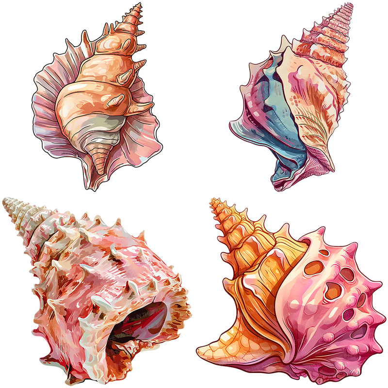 Conch shell PNG | Seashell Conch Clip Art Under The Sea Crea | Inspire ...