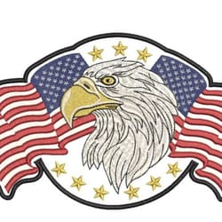 american flag and eagle embroidery design, independence day 3