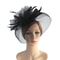 Elegant Mesh Fasinator Hat Top Flower Veil Half Face Derby Headband, Tea Party Cocktail Headwear for Women Vintage Style